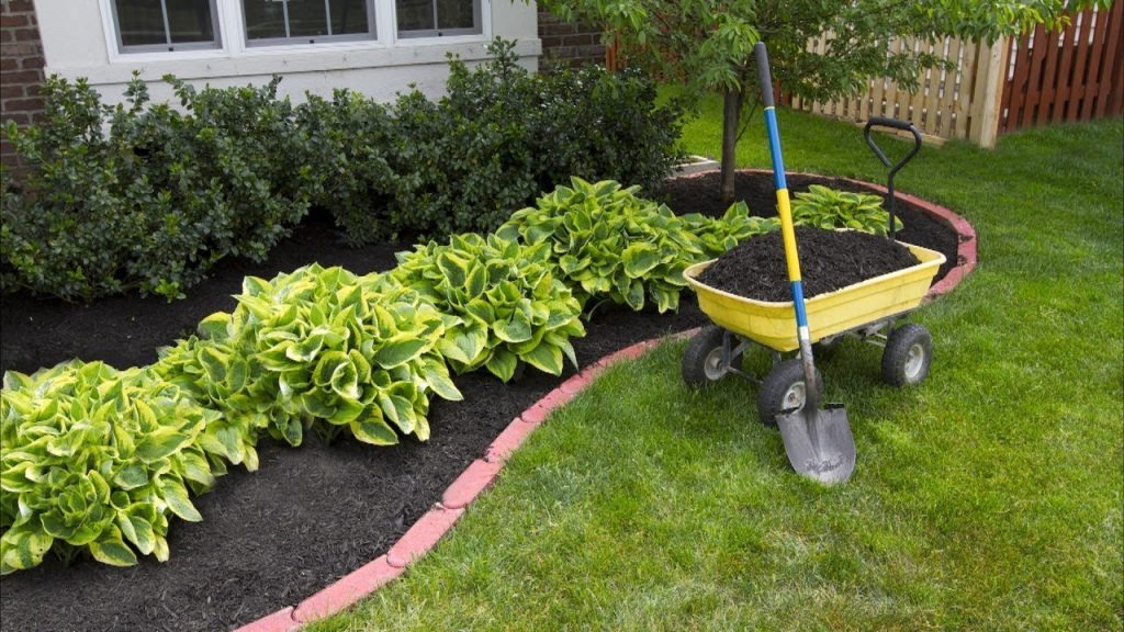 Front Yard Landscaping